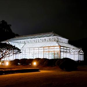 그랬던 것 같아