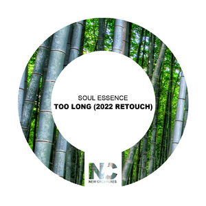 Too Long (Nu Ground Foundation 2022 Bassapella)