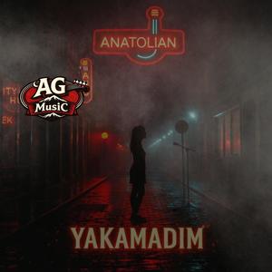 Yakamadım