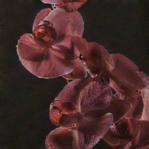 Nice Permitting Considerate