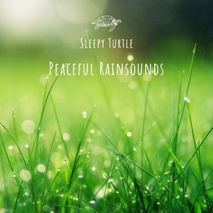 Peaceful Rainsounds, Pt. 9