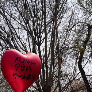 太原有没有森林