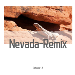 Vicetone-Nevada（Schama- Z remix）