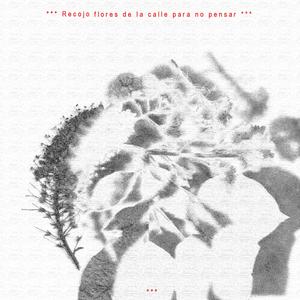 Fluctuaciones ୨ৎ Cromosaturado I
