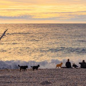 我不是你的宋冬野