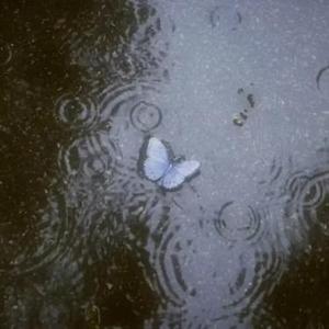 你眼尾的痣是未落的雨