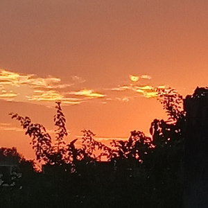 In The Depths Of Love