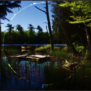 Dance of the Water Lilies