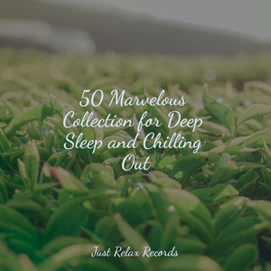 Sunshine's Lullaby Escape