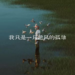 我是一只逆风的孤雁