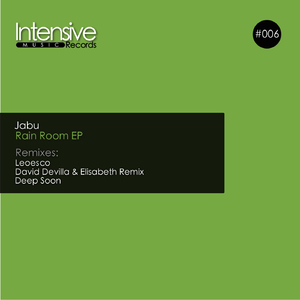 Rain Room (Leoesco Remix)