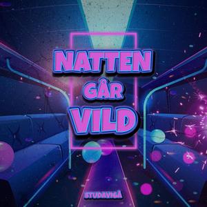 NATTEN GÅR VILD
