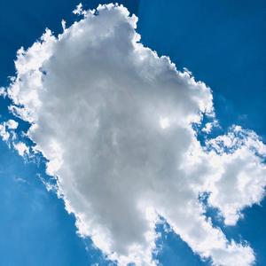 写给北京中路449号