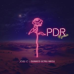 PDR (feat. Quimico Ultra Mega) (Remix)