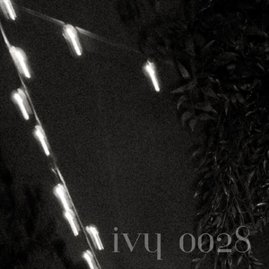 Ivy 0028