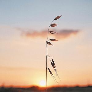 理由（prod by MS明）