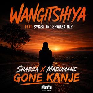 wangishiya