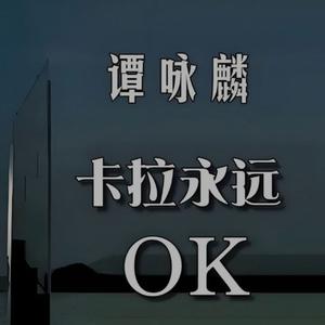 流浪花（DJ版）