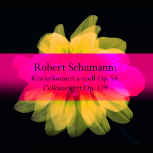 Klavierkonzert in A Major, Op. 54:II. Intermezzo: Andantino grazioso