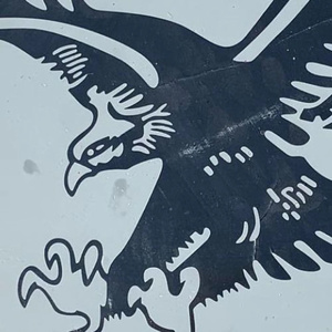 cumbia de las cloacas