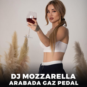 Arabada Gaz Pedal