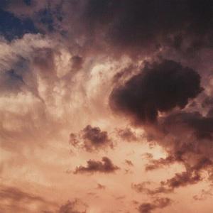 秋风不懂我伤悲