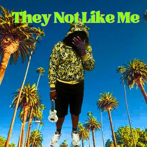 They Not Like Us (Remix)