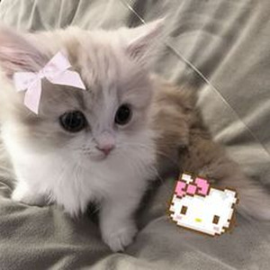 shut up my mom's callin (sped up + reverb)