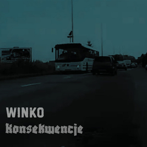 Konsekwencje