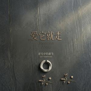 爱它就走