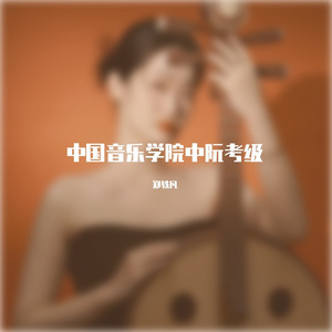 匈牙利舞曲第五号（中阮版）