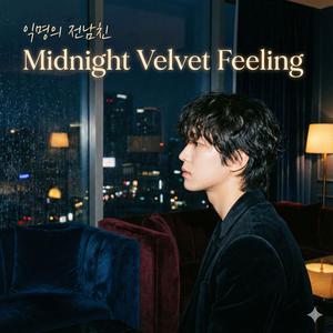 Midnight Velvet Feeling