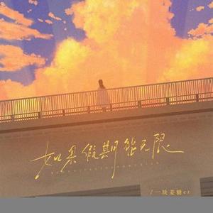 如果假期能无限 (DJ李婷版)降调版