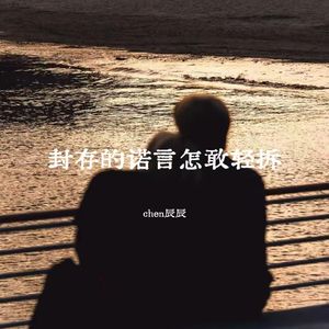 封存的诺言怎敢轻拆