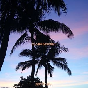 办公室工作爵士