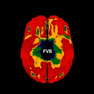 Manténlo Discreto Chica