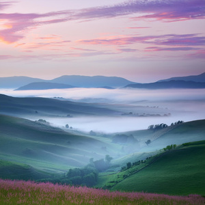 Vibraciones De Momentos Tranquilos