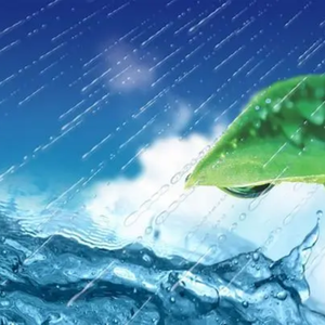 倾尽天下【古筝】