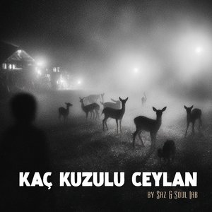 Kaç Kuzulu Ceylan