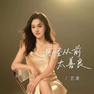 只怪从前太善良