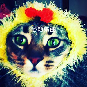 心动乐曲 (猫咪应激安抚)