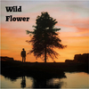 Laurence Richard - Wild Flower