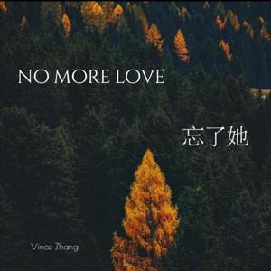 不再爱了