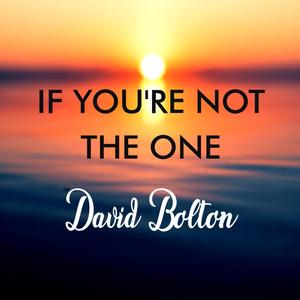 If You're Not The One (Acoustic Version) (Acoustic Version)