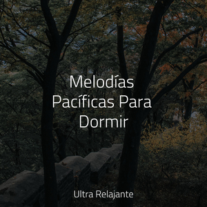 Hermoso Descanso Nocturno