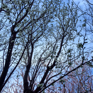 First day,i wrote the first love letter for you YWJ