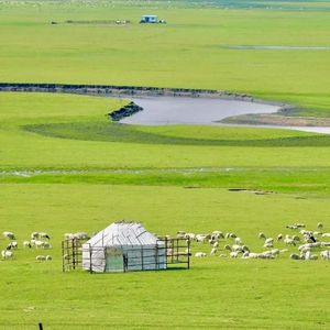 宋江投奔了朝廷