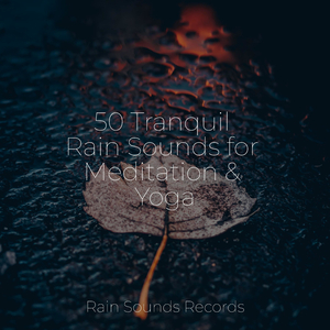 Concrete Lullaby in the Rain