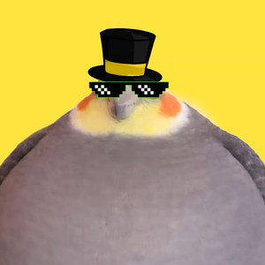 Parrot