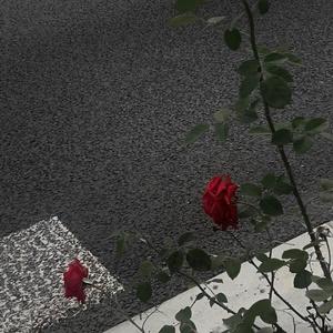 有个爱你的人不容易（改编版）